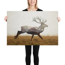 Load image into Gallery viewer, Red Deer
