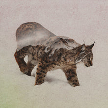 Load image into Gallery viewer, Lynx
