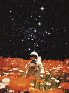 Astronaut in Orange Flower Field