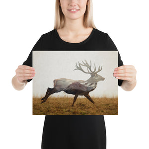 Red Deer