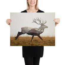 Load image into Gallery viewer, Red Deer
