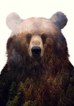 Load image into Gallery viewer, King Of The Forest
