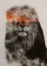 Load image into Gallery viewer, Lion
