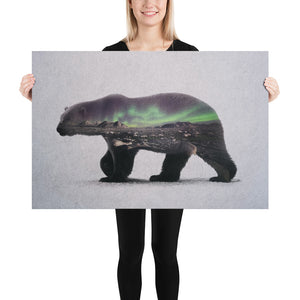 Polar Bear