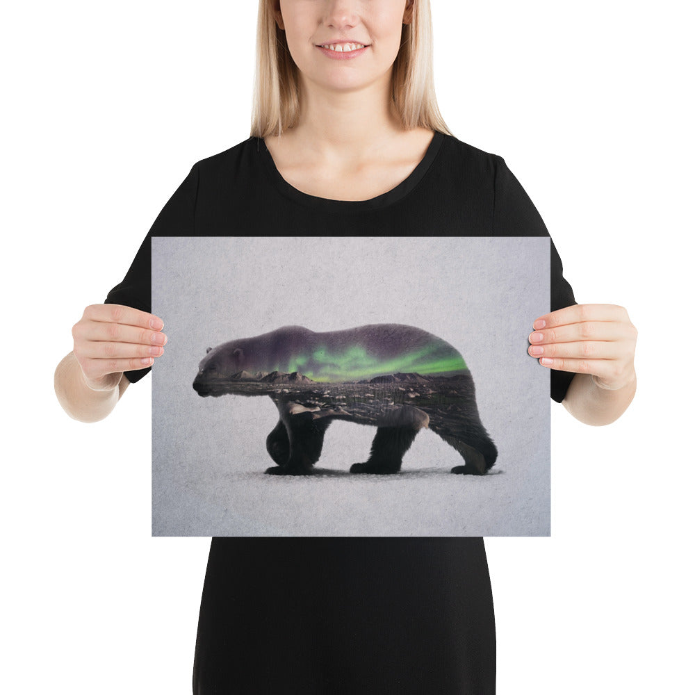 Polar Bear