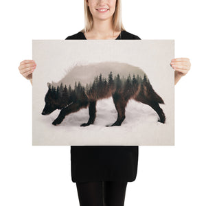 Wandering Wolf