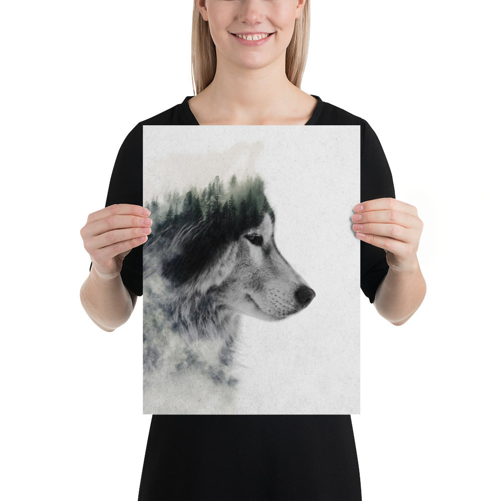 Wolf Stare