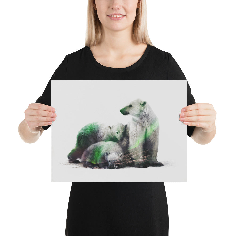 Polar Bears