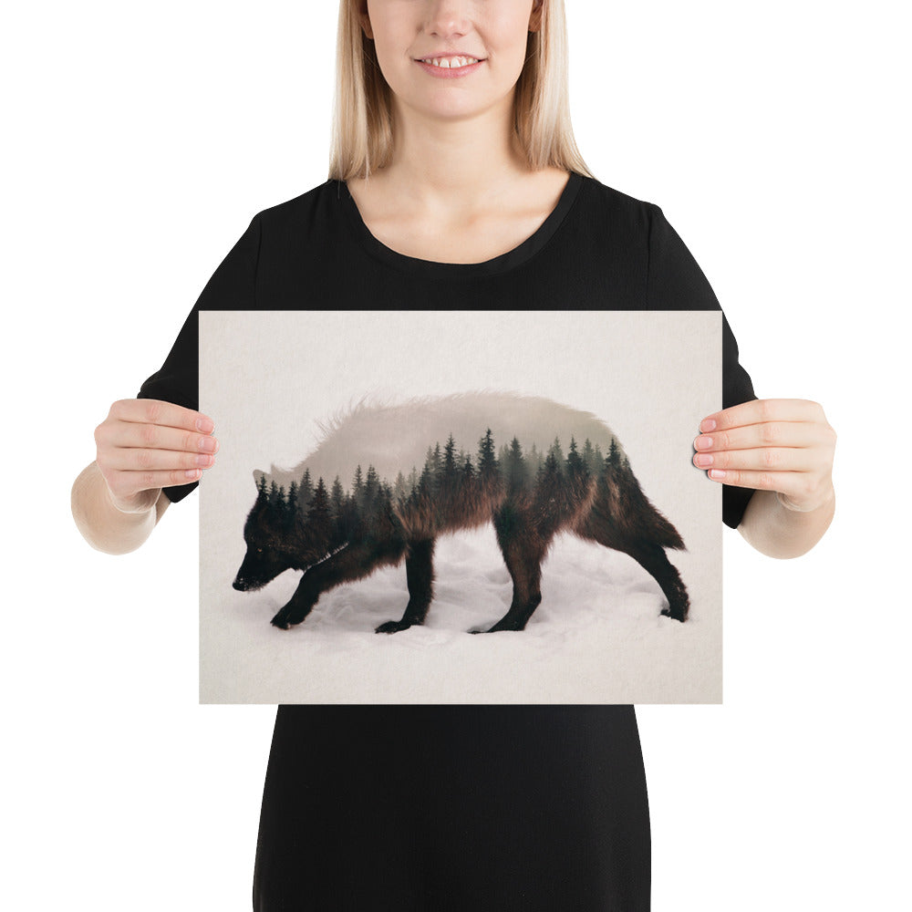 Wandering Wolf