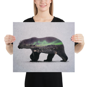 Polar Bear
