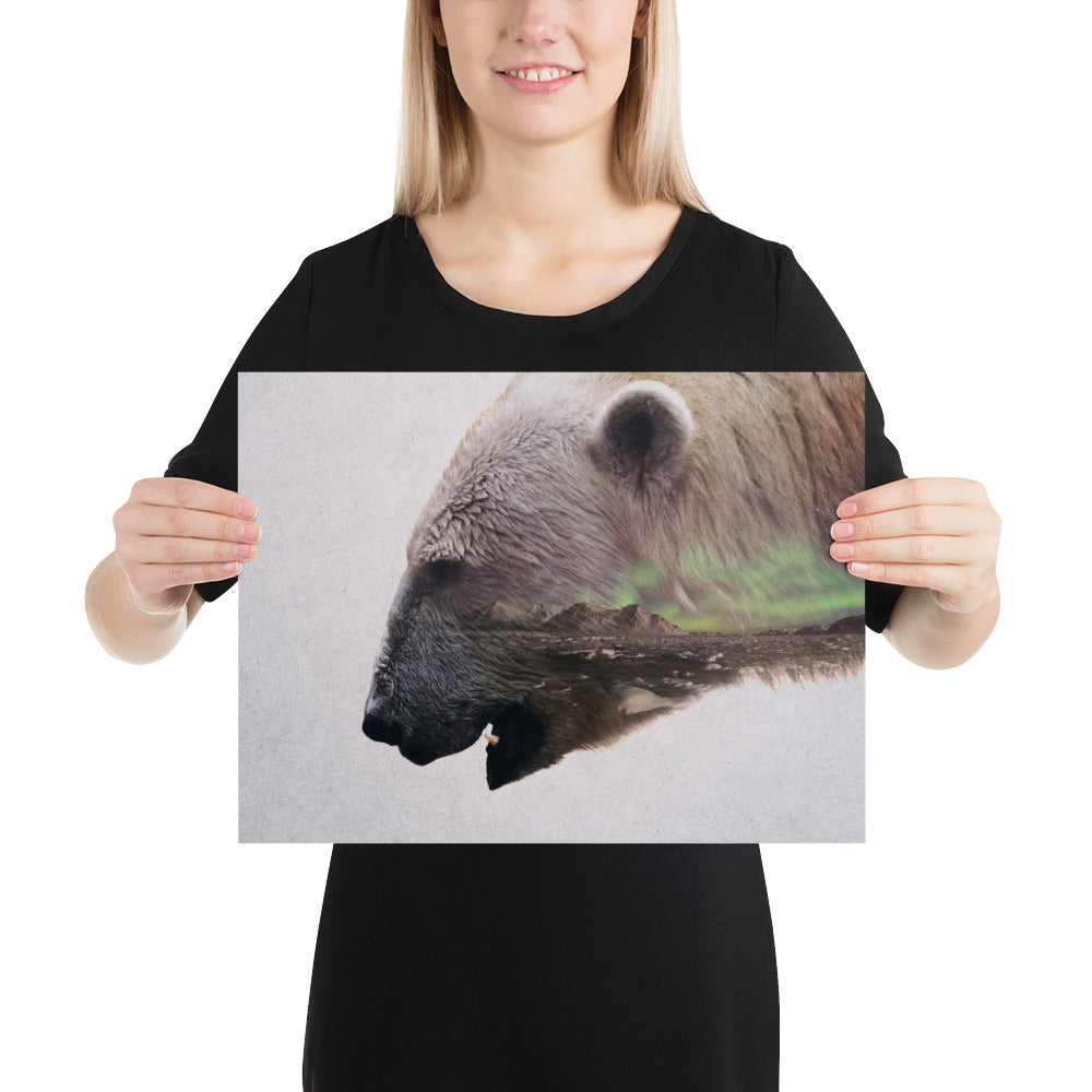 Polar Bear Head