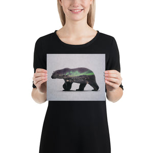 Polar Bear
