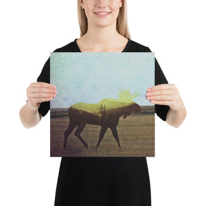 Moose