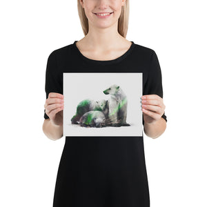 Polar Bears