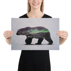 Polar Bear